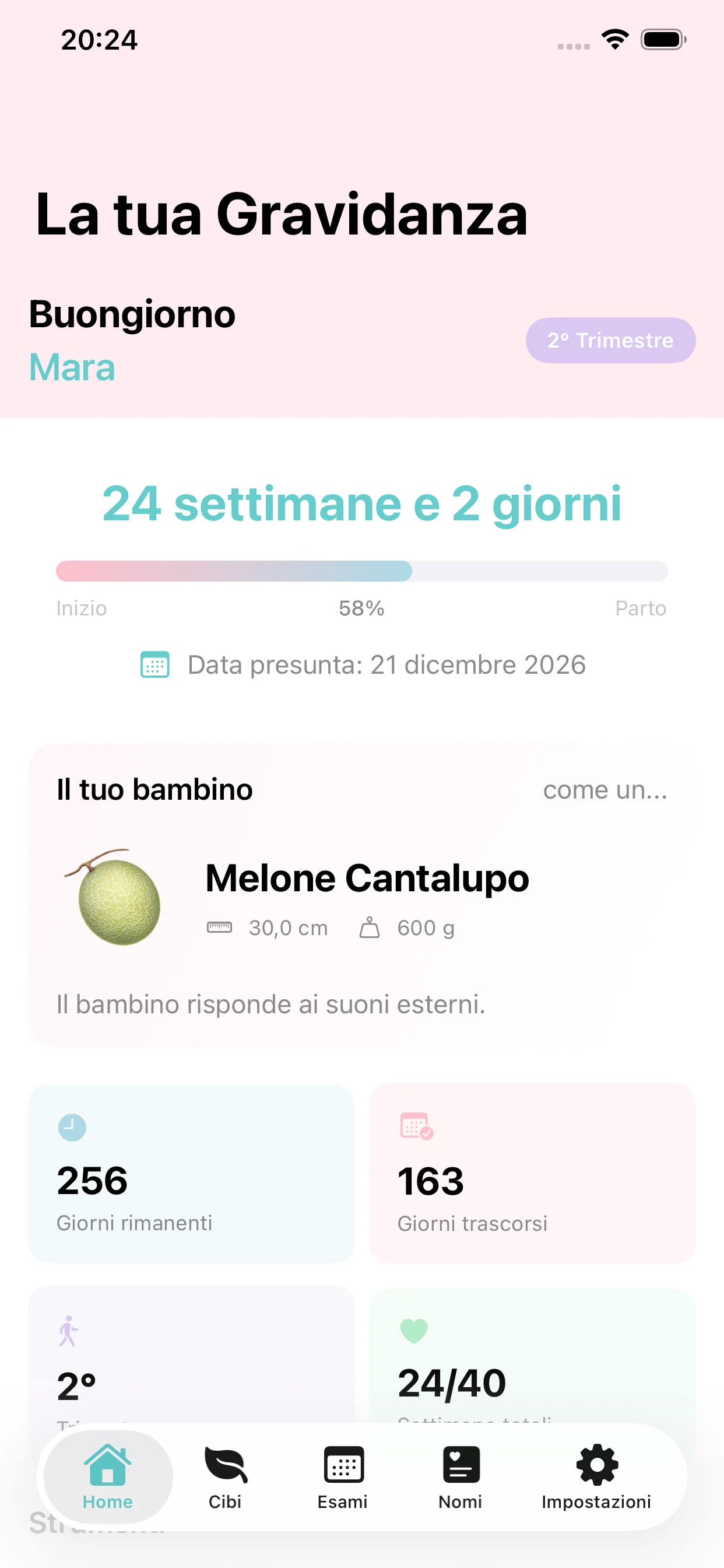 Mamma AI: la gravidanza settimana per settimana